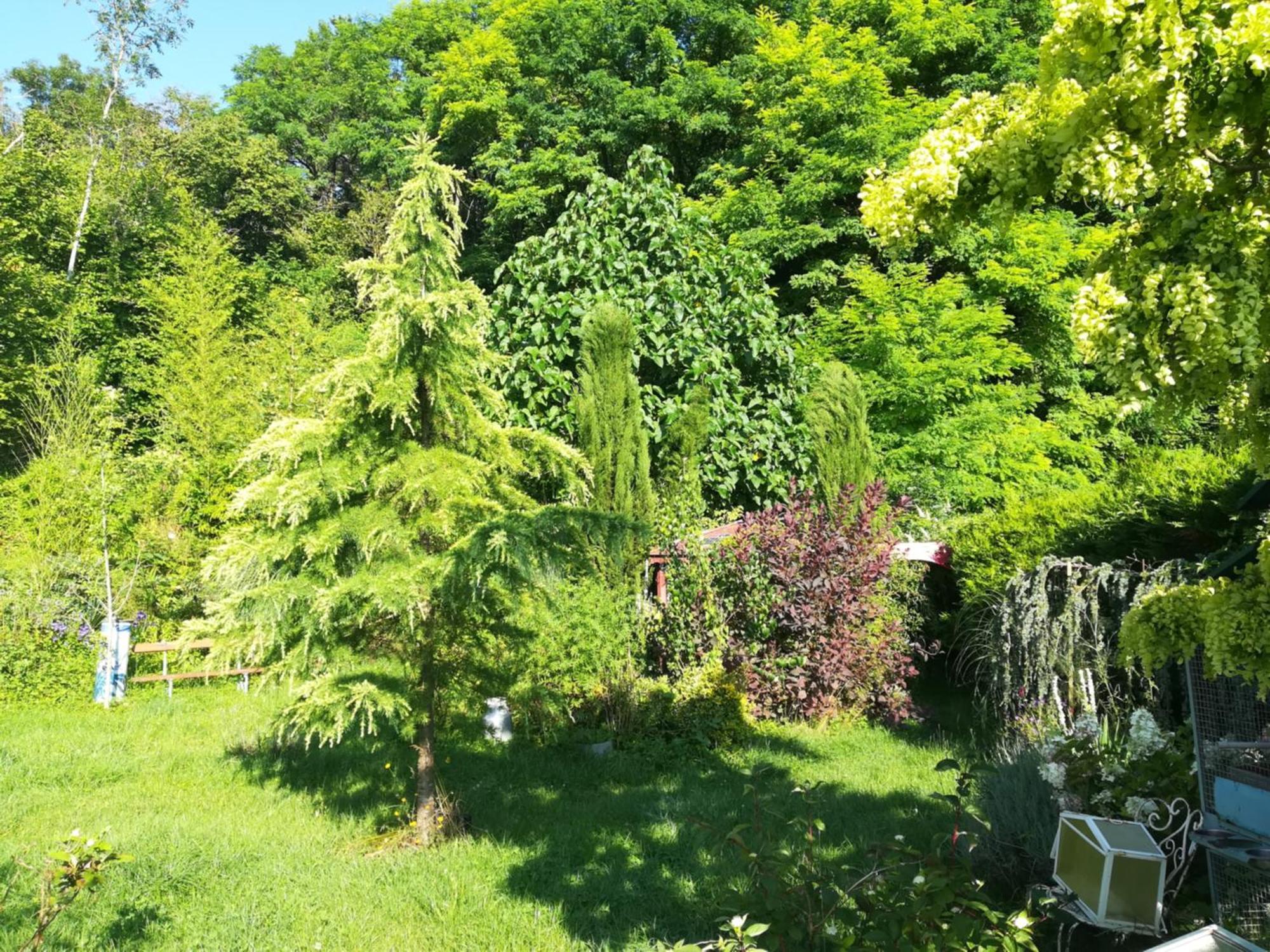 Apiculteur Loue 2 Chambres Dans Cadre Verdoyant Pagny-sur-Meuse Екстер'єр фото
